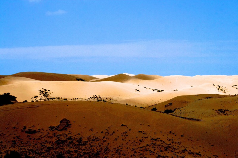 Desertification